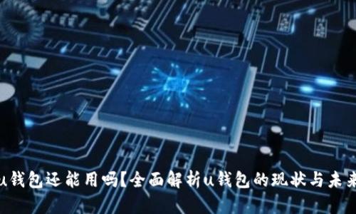 u钱包还能用吗？全面解析u钱包的现状与未来