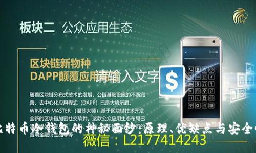 揭开比特币冷钱包的神秘面纱：原理、优缺点与安全性分析