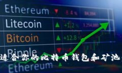 如何选择适合你的比特币
