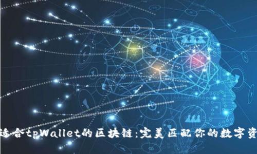 : 选择适合tpWallet的区块链：完美匹配你的数字资产需求
