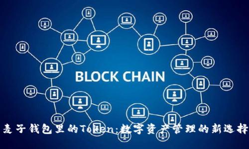麦子钱包里的Token：数字资产管理的新选择