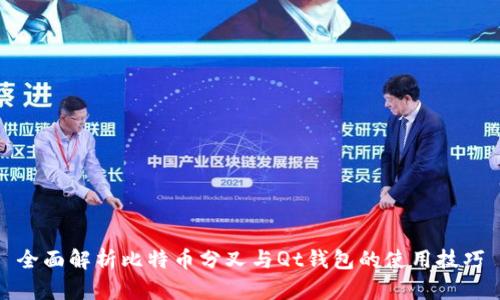 全面解析比特币分叉与Qt钱包的使用技巧