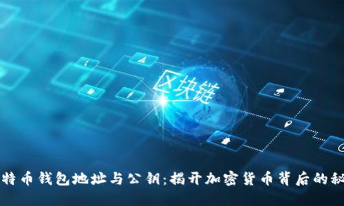 比特币钱包地址与公钥：揭开加密货币背后的秘密