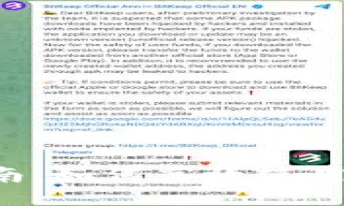 : 新手指南：如何高效使用USDT钱包