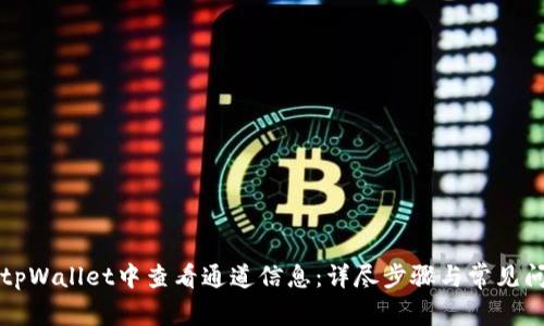 如何在tpWallet中查看通道信息：详尽步骤与常见问题解析