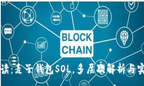 :
深度解读：麦子钱包SOL，多层次解析与实践指南