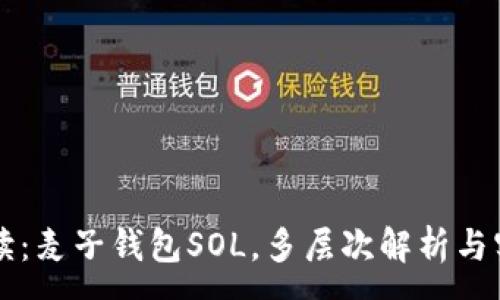 :
深度解读：麦子钱包SOL，多层次解析与实践指南
