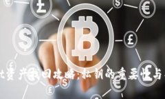 tpWallet资产找回攻略：私钥的重要性与替代方法