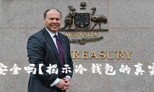 比特币放冷钱包安全吗？揭示冷钱包的真实保障与被盗风险