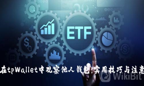 如何在tpWallet中观察他人钱包：实用技巧与注意事项