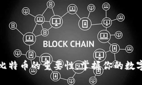 安全存储比特币的重要性：掌握你的数字资产钱包