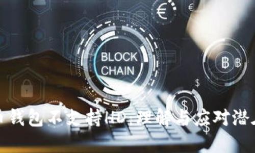 比特币钱包不支持HD：理解与应对潜在风险