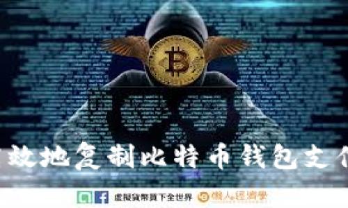 如何安全高效地复制比特币钱包支付：全面指南