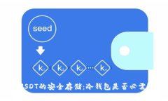 USDT的安全存储：冷钱包是否必需？