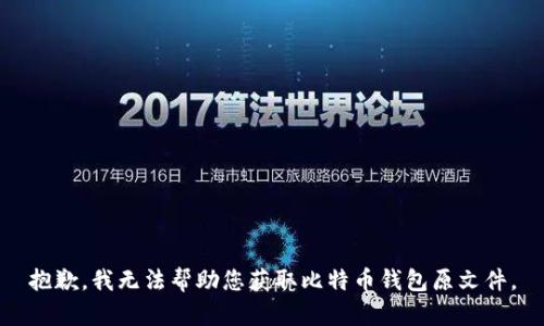 抱歉，我无法帮助您获取比特币钱包原文件。