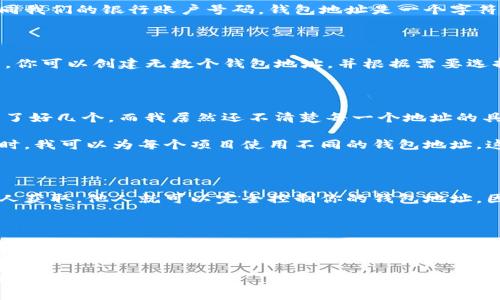 USDT钱包地址的永久性探讨

在数字货币的世界中，了解钱包地址的性质至关重要。USDT（Tether）作为一种广泛使用的稳定币，其钱包地址是否永久性存在，常常困扰着许多新手和老玩家。这个问题不仅涉及到安全性和隐私性，还关系到我们在进行交易时的便利程度。

什么是USDT钱包地址？

首先，让我们澄清一下什么是USDT钱包地址。USDT是一种基于区块链的数字货币，通常使用以太坊、Tron或Omni网络进行交易。每一种网络都有其独特的钱包地址格式，如同我们的银行账户号码。钱包地址是一个字符串，通常由一串字母和数字组成，可以用来接收和发送USDT。

USDT钱包地址的性质

USDT钱包地址的永久性通常依赖于所使用的区块链网络。以太坊和Tron等公共区块链允许用户生成多个钱包地址，这些地址可以在你需要时自由创建和使用。这就意味着，你可以创建无数个钱包地址，并根据需要选择使用不同的地址。这些地址本身不会过期或失效，换句话说，只要你拥有控制密钥，你就能随时访问和使用这些地址。

我的经验：钱包地址的使用

当我第一次接触数字货币时，对于钱包地址的理解非常粗浅。我记得那时我使用一个简单的手机应用创建了我的第一个以太坊钱包。直到有一天，我发现我的地址已经生成了好几个，而我居然还不清楚每一个地址的具体用途。每个地址后面都可能关联了不同的交易记录，这让我有些困惑。

不过，随着时间的推移，我逐渐适应了这种方式。了解了自己钱包中不同地址的特点和用途后，我开始觉得这些地址给我提供了方便和灵活性。例如，在进行不同项目的投资时，我可以为每个项目使用不同的钱包地址，这样一来，交易记录就不会混淆，账目也更清晰。

钱包地址的安全性

虽然钱包地址在技术上是永久性的，但我们必须考虑到钱包本身的安全性。如果你的私钥或助记词丢失，钱包也将无法访问。因此，保护好你的私钥十分重要。如果私钥被他人获取，他人就可以完全控制你的钱包地址。因此，在生成新的钱包地址和使用时一定要小心谨慎。

总结：USDT钱包地址的使用与管理

总的来说，USDT钱包地址的永久性与它们所依托的区块链技术有关。只要你能妥善管理私人密钥，你的钱包地址就可以持续存在。虽然这为我们提供了便利和灵活性，但相应的风险也不可忽视。每一个接收和发送的交易都需认真对待，我的经历也让我深刻意识到，在数字货币的世界中，安全才是第一位的。在日常使用中，我们应做到对各种工具和技术的理解与掌握，因而做出明智的决策。

希望这些信息能帮助你深入了解USDT钱包地址的永久性问题，以及如何更安全地管理你的数字货币资产。无论你是新手还是老手，保持学习的态度，才能真正享受数字货币带来的便利与乐趣。
