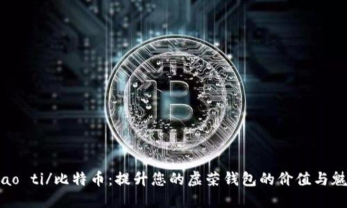 biao ti/比特币：提升您的虚荣钱包的价值与魅力