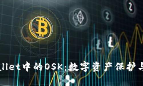 深入探索tpWallet中的OSK：数字资产保护与管理的新境界