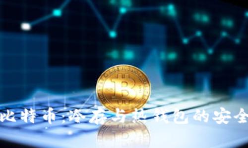 掌握比特币：冷存与热钱包的安全之道