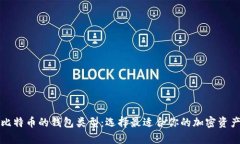 深入探讨比特币的钱包类