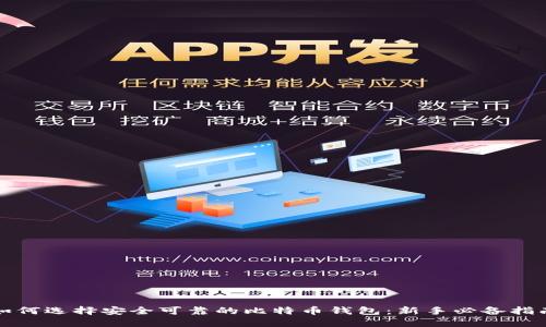 如何选择安全可靠的比特币钱包：新手必备指南