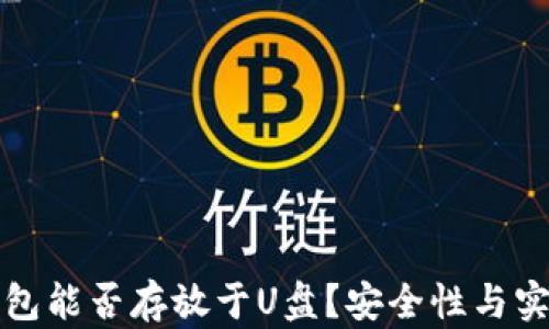 
狗狗币钱包能否存放于U盘？安全性与实用性详解