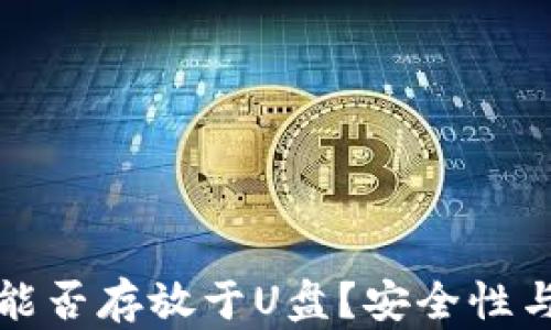 
狗狗币钱包能否存放于U盘？安全性与实用性详解