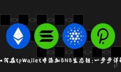 如何在tpWallet中添加BNB生态