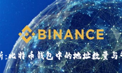 全面解析：比特币钱包中的地址数量与管理技巧