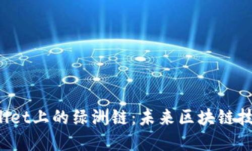 探秘tpWallet上的绿洲链：未来区块链技术的新星！