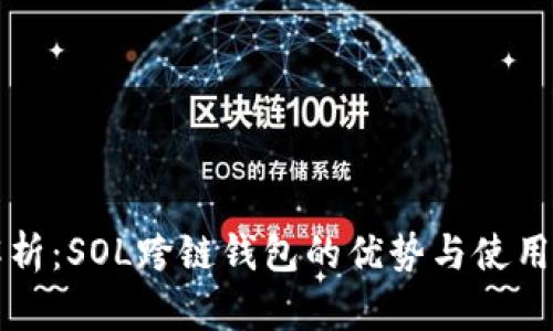 全解析：SOL跨链钱包的优势与使用指南