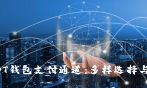  解密USDT钱包支付通道：多样选择与安全指南