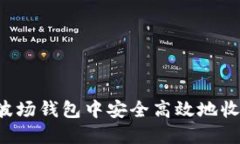 如何在波场钱包中安全高