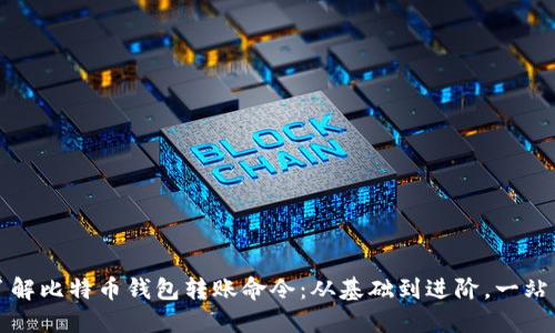 全面了解比特币钱包转账命令：从基础到进阶，一站式指南