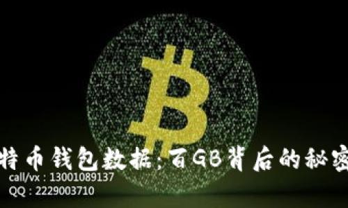 深度解析比特币钱包数据：百GB背后的秘密与投资价值